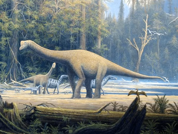 Khi thông báo lên chính quyền, các chuyên gia nhận định những hòn đá mà hai cha con tìm thấy là hóa thạch của khủng long. Tuy nhiên mãi tới 10 năm sau Cục Di tích Văn hóa Địa phương mới xin được kinh phí để khai quật hóa thạch này.