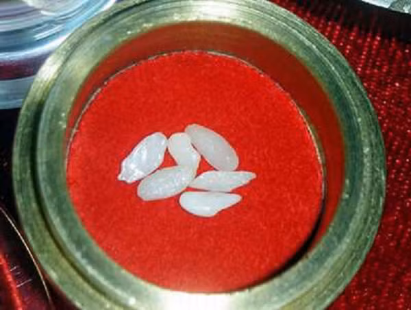 Họ cho rằng cho rằng ngọc xá lợi là do các khoáng tinh thể trong xương (chiếm 2/3 trọng lượng xương) tạo thành dưới nhiệt độ từ 600 độ C trở lên. Các hạt này có rất nhiều hình dạng khác nhau: hình cầu, lục giác, hạt nhỏ và hình dạng không đều... Trong đó các hạt nhỏ lại có thể kết thành hạt lớn hơn trong khoảng nhiệt độ 1.000 - 1.400 độ C.