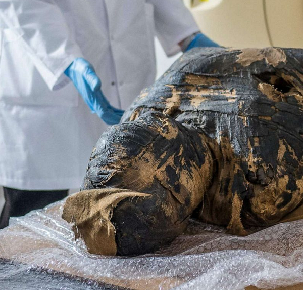 Nhóm nghiên cứu cho biết, quá trình ướp xác của người Ai Cập theo quan điểm hóa học là quá trình khoáng hóa các mô có thể tồn tại một thiên niên kỷ.