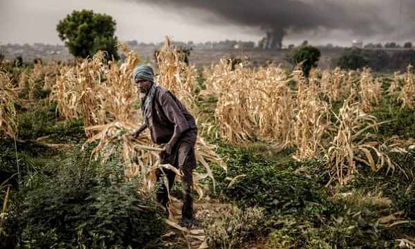 Các quan chức của LHQ đã cảnh báo, thế giới có thể rơi vào tình trạng "xung đột và hỗn loạn" nếu các lãnh đạo thế giới không giải quyết vấn đề biến đổi khí hậu. Dự đoán này của nhà tiên tri người Pháp có cơ sở để trở thành hiện thực vào năm tới hoặc tương lai gần.