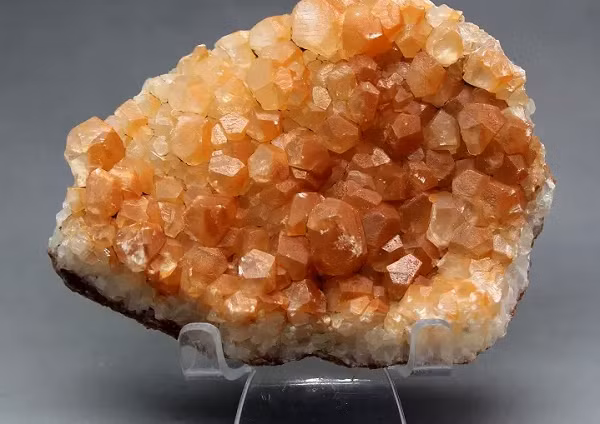 Hàng xóm nghe tin đều kéo sang xem và ai cũng cho rằng ông lão đã tìm được báu vật. Nếu cục đá này thực sự là báu vật quý giá thì ông đã nhặt được 1 khoản tiền lớn rồi.