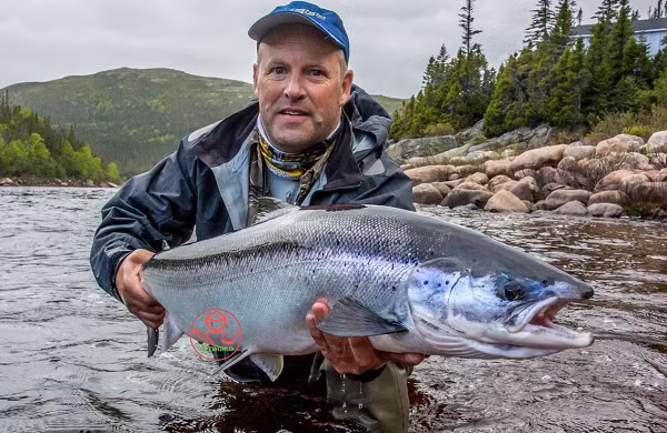 Cá hồi có một trong những cuộc di cư đặc nghiệt nhất trong thế giới động vật. Chúng bơi ngược dòng hàng trăm dặm, không ăn, để đến thượng nguồn con sông mà chúng đã được sinh ra. Cá hồi có nhảy cao tới 3,65 m theo chiều thẳng đứng khi di chuyển qua các thác nước và ghềnh.