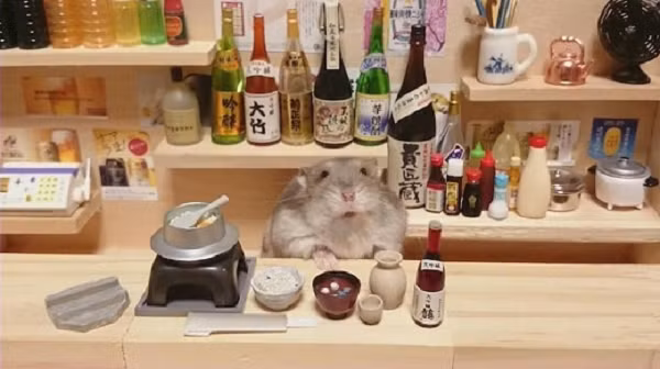 Khi cho vào chuồng rượu Everclear 190, chúng sẽ ngay lập tức sà vào và liếm láp, mỗi con hamster có thể uống tới 18 gam rượu loại này tính trên mỗi kg trọng lượng cơ thể. Nó tương đương với một người đàn ông trưởng thành uống hết 1 lít rưỡi rượu Everclear 190.