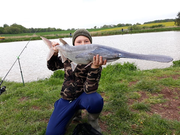 Tất cả cá tầm và cá tầm thìa cũng được liệt kê trên Công ước về buôn bán quốc tế các loài động thực vật hoang dã (CITES), trong đó hạn chế thương mại quốc tế.