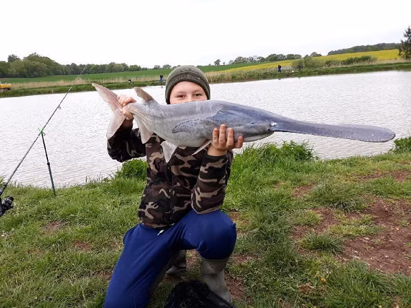 Tất cả cá tầm và cá tầm thìa cũng được liệt kê trên Công ước về buôn bán quốc tế các loài động thực vật hoang dã (CITES), trong đó hạn chế thương mại quốc tế.