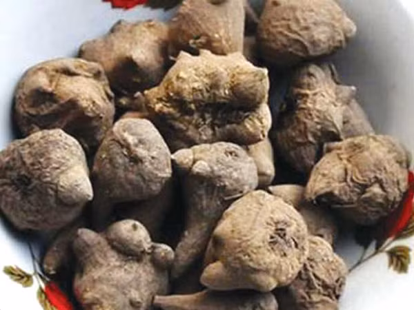 Ô đầu có độc tính rất mạnh, chỉ cần dùng quá 6 gram đã có khả năng gây chết người. Dấu hiệu trúng độc là tiết nhiều nước bọt, tiêu chảy, cảm giác ngứa ran trong da, hôn mê và có thể dẫn đến tử vong.