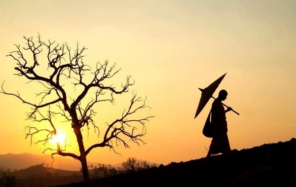 Khi còn trẻ phải làm những việc bạn nên làm, thì khi về già mới có thể làm những việc bạn muốn làm.