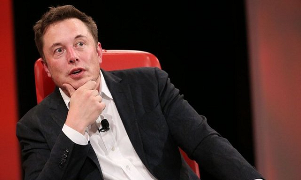 Cuộc đại tuyệt chủng thứ 6 có thể đã khiến 260.000 loài biến mất, bao gồm cả các động vật không xương sống như ốc sên và sên trần (sên không vỏ) kể từ năm 1500.