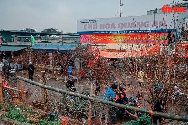 Chợ hoa Quảng An nằm ở phường Quảng An, quận Tây Hồ mở cửa quanh năm.