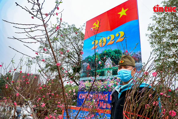 Điểm bán cây cảnh tại vườn hoa Lạc Long Quân ngập tràn hoa đào.