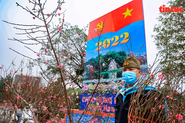 Điểm bán cây cảnh tại vườn hoa Lạc Long Quân ngập tràn hoa đào.