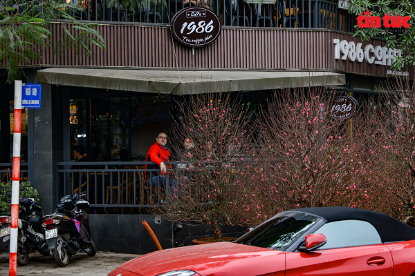 Vỉa hè một quán cafe trên đường Lạc Long Quân được tận dụng để bày bán cây cảnh chơi Tết.