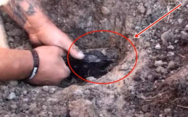 Họ nói rằng đây khả năng cao là một viên đá rất có giá trị. Vì vậy chàng trai đã nghe theo lời khuyên của cả nhà và đem viên đá đi giám định. Sau khi xem xét, chuyên gia vui mừng thông báo rằng viên đá này chính là citrine tự nhiên.