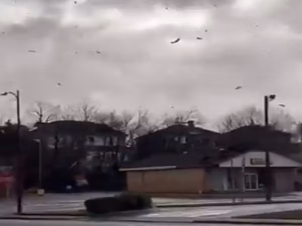 Không giống như những cơn mưa thông thường, một số cơn mưa đã đem nguồn thủy hải sản vào với đất liền, tạo thành những cơn mưa cá như trút xuống. Người dân chỉ việc đem xô, chậu ra lấy mang về.