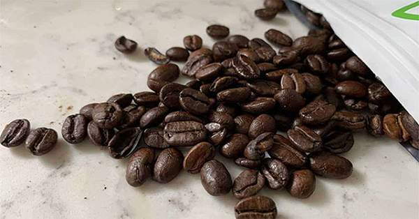 Sloper đã phải biến cuộc săn lùng phân chim Jacu thành một cuộc săn lùng kho báu đối với những người lao động, cung cấp cho họ những động lực tài chính để tìm kiếm một số lượng nhất định hạt cà phê đã thải loại.