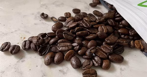 Sloper đã phải biến cuộc săn lùng phân chim Jacu thành một cuộc săn lùng kho báu đối với những người lao động, cung cấp cho họ những động lực tài chính để tìm kiếm một số lượng nhất định hạt cà phê đã thải loại.