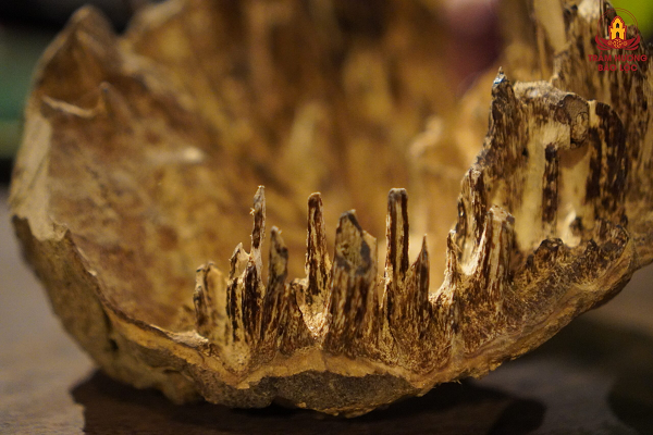 Lũa trầm hương dưới bùn sẽ mang màu sắc nâu đen do ảnh hưởng của nước bùn và màu sắc tự nhiên của trầm hương. Chính nhờ màu sắc tự nhiên này mà các nghệ nhân đã sáng tạo nên được rất nhiều đồ nội thất mang lại tính thẩm mỹ và giá trị cao.