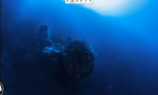 Có nhiều giả thuyết được đưa ra như dấu vết cực lớn do cá voi để lại, nhưng có rất ít trường hợp loài cá voi này có thể lặn xuống một nơi sâu như vậy.