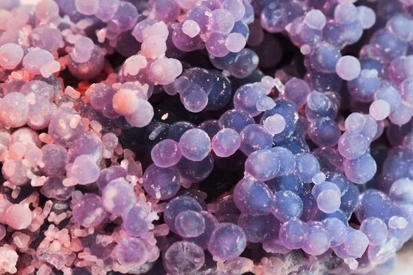 Lúc này anh chàng mới lên tiếng cho biết, đây là những tảng mã não nho thô. Đá mã não nho còn là một loại đá quý hiếm được nhiều người ưa chuộng.