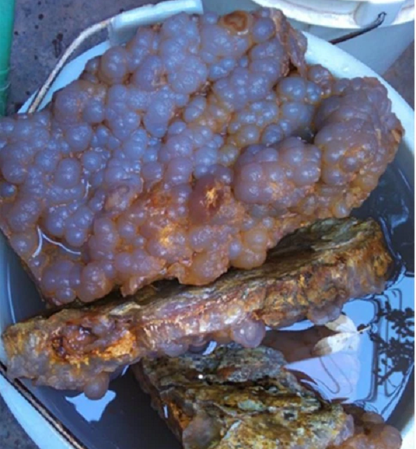 Mọi người khi nhìn thấy đống đá đã cười chê và cho rằng anh đã đem những thứ bỏ đi về nhà. Bỏ ngoài tai những lời đó, chàng trai vẫn lấy nước ngồi cặm cụi kỳ cọ từng ngóc ngách của mỗi tảng đá.