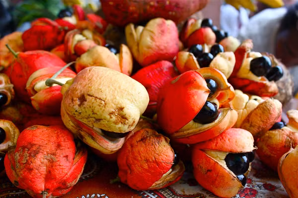 Vỏ ngoài của quả ackee có màu đỏ, trông khá giống vải thiều, nguồn gốc từ Ghana. Có hình dáng như trái lê, ackee khi chín chuyển từ màu xanh lục sang đỏ tươi hoặc vàng cam.