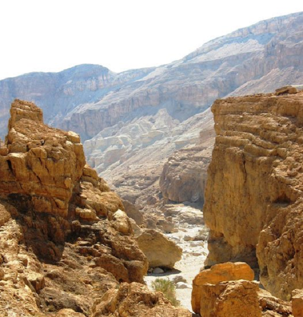 Vì vậy họ đã làm những chiếc mặt nạ này để tái hiện hình ảnh tổ tiên của mình.