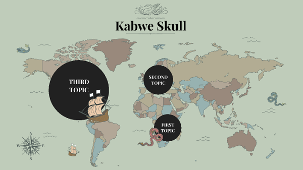 Các nhà khoa học pháp y tuyên bố, chiếc lỗ này chỉ có thể được tạo ra bởi một viên đạn được bắn ở vận tốc cực cao. Đường đạn đi từ phía bên trái, xuyên qua hộp sọ với một lực mạnh đến nỗi nó làm vỡ hoàn toàn phía hộp sọ bên phải.