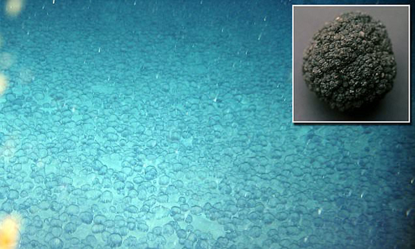 Tác động của việc khai thác khoáng sản trong CCZ sẽ rộng hơn nhiều so với việc chỉ giết chết hệ sinh thái xung quanh các "nốt mangan". Khi máy móc thu gom di chuyển qua đáy biển, chúng sẽ khuấy động những đám mây trầm tích mềm kéo dài hàng chục nghìn km. Ở mật độ cao, các luồng trầm tích có thể chôn vùi và làm chết các động vật dưới đáy biển.