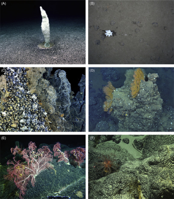 Hiện nay, một số công nghệ và thiết bị khai thác biển sâu đã được cải tiến đáng kể nhưng giới nghiên cứu vẫn đang trong quá trình tìm kiếm và thử nghiệm các phương pháp khai thác "nốt mangan" mà có thể hạn chế nguy cơ ảnh hưởng hệ sinh thái biển.