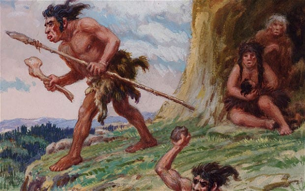 Đặc biệt, người Neanderthals có hộp sọ to hơn cả Homo sapiens, chứa một bộ não lớn. Chính việc tiêu thụ tinh bột đã thúc đẩy bộ não người Neanderthals phát triển một cách nhanh chóng, tăng gấp đôi kích thước chỉ trong 200.000 năm.