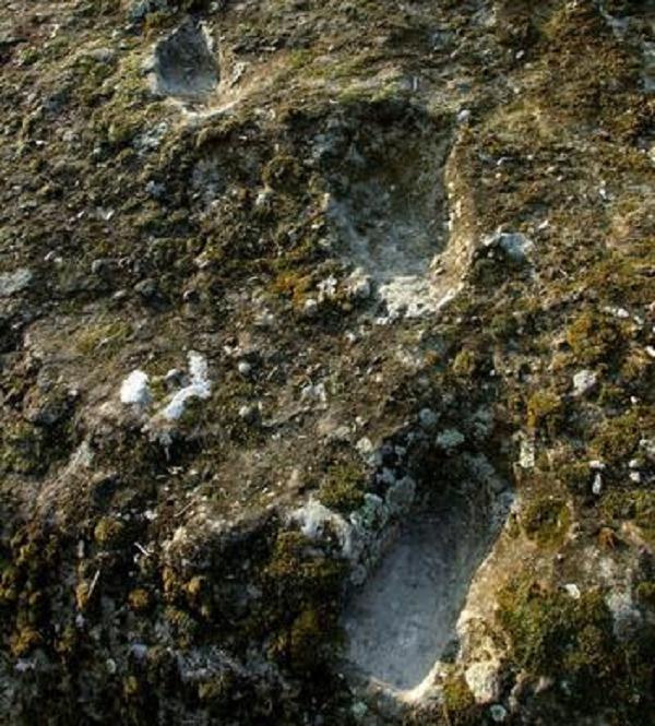 Họ nhận thấy rằng, những dấu chân này đang đi ngược lên núi thay vì đi xuống như các vết được tìm thấy trước đó. Chúng thuộc về một nhóm thanh niên.