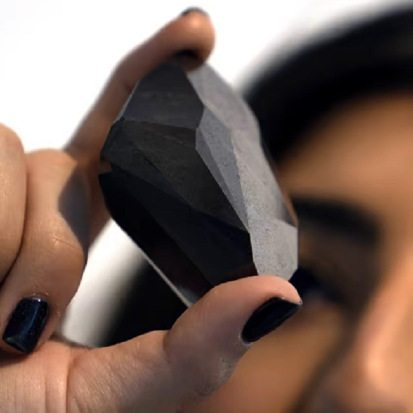 Theo nhà đấu giá Sotheby’s, một viên kim cương đen có kích thước lớn như thế là cực kỳ hiếm, và dự kiến nó sẽ được bán đấu giá lên tới 6,8 triệu USD.