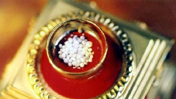 Trong giới Phật giáo từ lâu đã biết rằng trong cơ thể các nhà sư đắc đạo tích tụ một số vật chất mà người thường không có gọi là ngọc xá lợi. Vật chất này chỉ được tìm thấy trong tro cốt khi hỏa táng nhà sư, dưới dạng giống như hạt nhỏ hoặc đá quý. Những hạt này trông rất đẹp, lấp lánh ánh sáng, rất cứng.