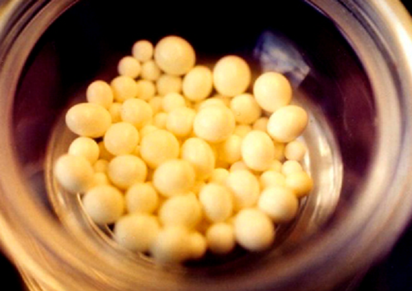 Tuy nhiên nếu thêm yếu tố ngồi thiền thì giả thuyết này cũng có một phần sự thật. Ngồi thiền nhiều (như các cao tăng) sẽ làm tăng khả năng hình thành tinh thể muối trong cơ thể. Người ăn chay hoặc Phật tử bình thường không có nguy cơ đó, vì thời gian ngồi thiền không nhiều.