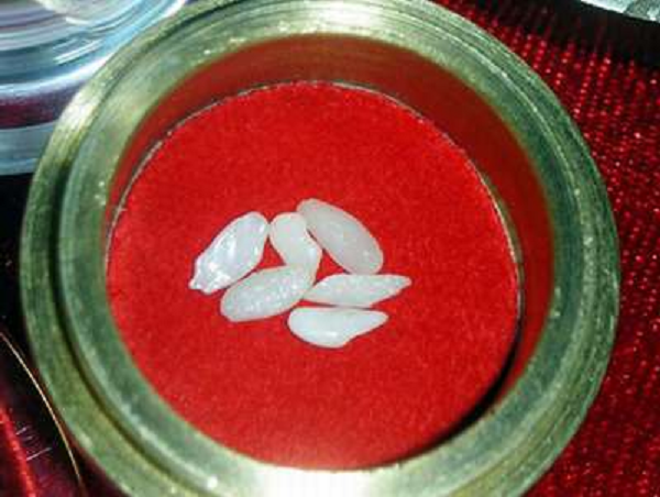 Họ cho rằng cho rằng ngọc xá lợi là do các khoáng tinh thể trong xương (chiếm 2/3 trọng lượng xương) tạo thành dưới nhiệt độ từ 600 độ C trở lên. Các hạt này có rất nhiều hình dạng khác nhau: hình cầu, lục giác, hạt nhỏ và hình dạng không đều... Trong đó các hạt nhỏ lại có thể kết thành hạt lớn hơn trong khoảng nhiệt độ 1.000 - 1.400 độ C.