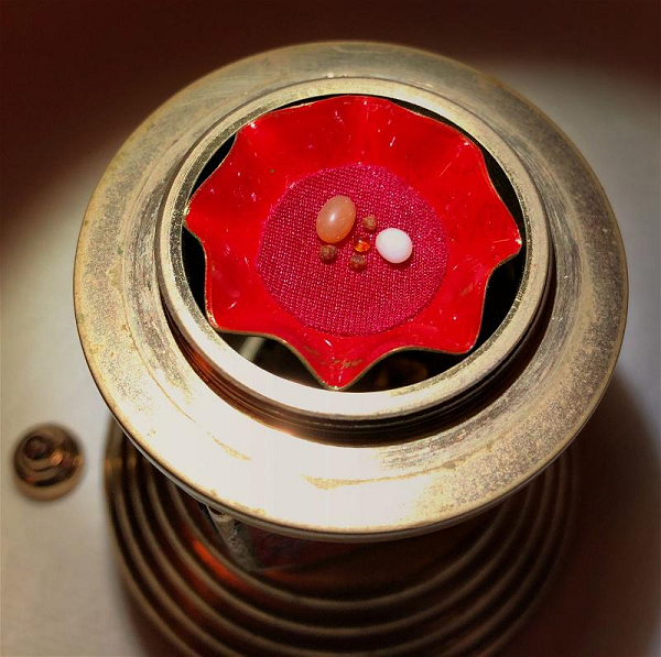 Những tinh thể muối đó tích lũy trong cơ thể và dần biến thành xá lợi. Tuy nhiên nhiều người không đồng ý với giả thuyết này, cho rằng nhiều người ăn chay nhưng không có xá lợi khi hỏa táng.