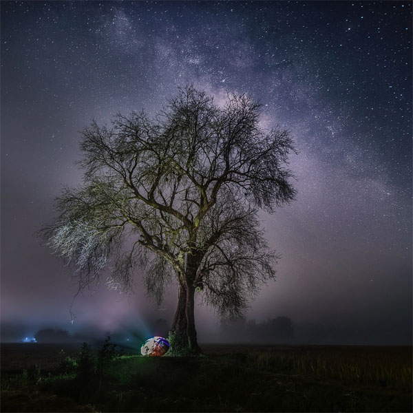 “Cây trâm cô đơn” tại thôn Gò Duối, xã Long Thành Nam, Hòa Thành, Tây Ninh là điểm check-in yêu thích của du khách. Bức ảnh thuộc về nhiếp ảnh gia Nguyễn Tấn Tuấn.