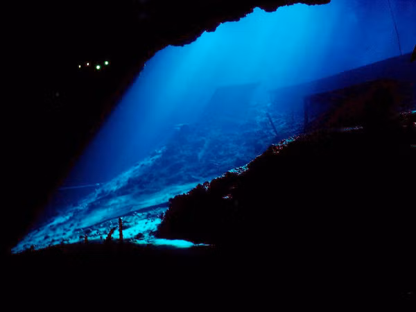 Tìm hiểu sâu hơn, họ phát hiện ra rằng chúng đang chuyển đổi amoniac (NH3) thành nitrit (NO2) bằng chính những điều kỳ bí ẩn bên trong cơ thể nhỏ bé của mình. Nghĩa là oxy từ cơ thể chúng sinh ra chứ không đến từ nguồn nào khác!