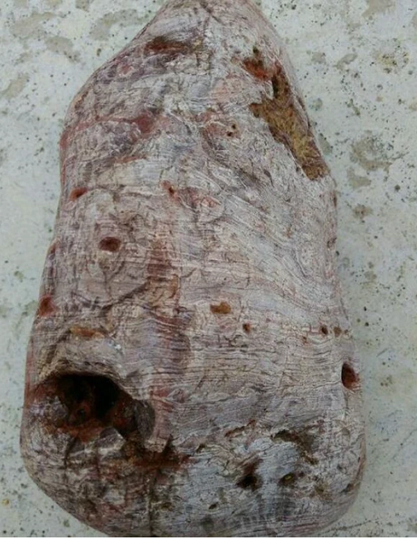 Một điều đặc biệt là khúc gỗ này nhặt lên lại vô cùng nặng. Sau khi đem về và rửa sạch lớp bùn đất, anh chợt thấy lạnh sống lưng khi khúc gỗ lộ ra 1 màu đỏ như máu.