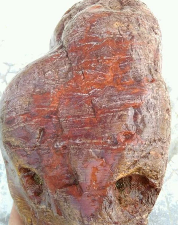 Vì quá hoảng sợ, anh đã quyết định nhờ 1 người bạn tới kiểm tra giúp. Người này cũng không có câu trả lời chính xác nên quyết định chụp lại những bức ảnh và đăng lên mạng để hỏi ý kiến từ cộng đồng mạng.