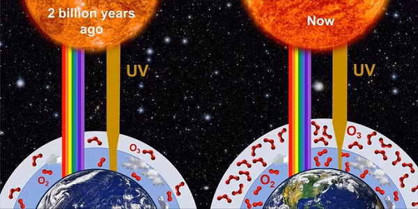 Nhóm nghiên cứu từ Đại học Leeds dẫn đầu là tiến sĩ Gregory Cooke cho biết, sau khi lập mô phỏng máy tính về Trái Đất sơ khai suốt 2,4 tỉ năm qua, hành tinh của chúng ta từng là một thế giới khắc nghiệt.
