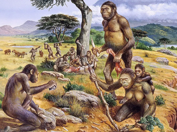 Nguồn thực phẩm động vật không chỉ tạo ra năng lượng quan trọng để bộ não phát triển với kích thước lớn và phức tạp, mà còn gián tiếp thúc đẩy những kỹ năng khác để con người ngày một tiến hóa.