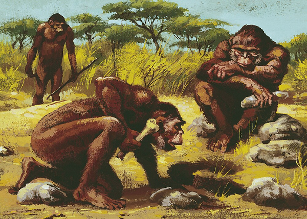 Nghiên cứu của họ cho rằng những bước tiến hóa nhảy vọt như não phát triển to hơn hay khả năng tạo ra và sử dụng các công cụ phức tạp có liên quan tới những thời kỳ khí hậu bất ổn.