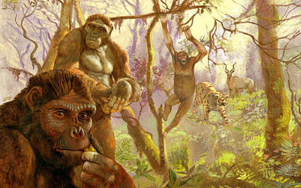 Họ đã thu thập được một bộ sưu tập khổng lồ xương động vật có vết cắt ở "hẻm núi loài người khác" Olduvai - dấu hiệu cho thấy đó là thực phẩm của con người. Đặc biệt, các địa điểm dạng này tăng đáng kể khi Homo erectus xuất hiện.