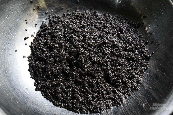 Giá bán trứng cá tầm Sterlet tại trại hiện nay vào khoảng 18 triệu đồng/kg, khi đến các nhà hàng, mức giá này còn tăng lên nhiều. Đây là loại thực phẩm cao cấp, thường có mặt trong các nhà hàng, khách sạn cao cấp. Điều đặc biệt mà ông Lựu cùng đồng nghiệp ở trại cá này làm được có thể thu trứng mà không làm chết cá, chất lượng trứng vẫn tươi ngon như trứng mổ cá.