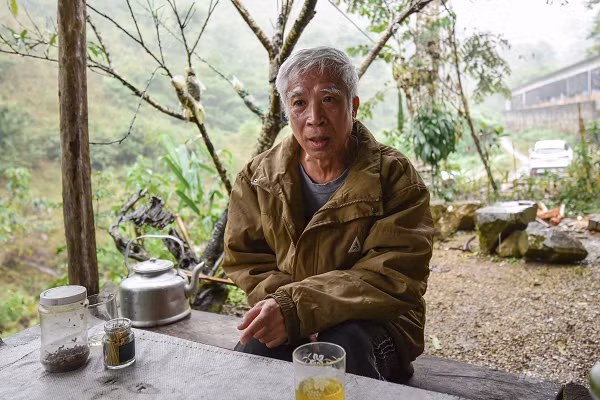 Tiến sỹ Lê Thanh Lựu (ảnh) cho biết, năm 2012 ông cùng một số người bạn tìm hiểu và bắt đầu xây dựng trại cá tầm này với vốn đầu tư ban đầu vào khoảng 3 tỷ đồng. Đến nay, trại cá sắp tròn 10 năm tuổi và hoạt động rất hiệu quả, trơn tru, phần vì ông Lựu là chuyên gia hàng đầu về loài cá này, phần vì điều kiện tự nhiên tại xã Nậm Xé rất phù hợp để nuôi cá tầm.