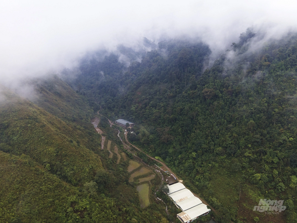 Tham trai ca tam toan giong chau Au tren day Hoang Lien Son
