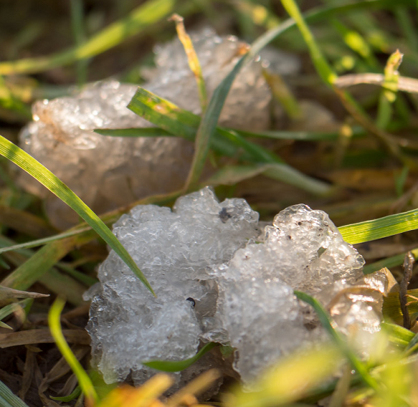 Một bài báo dài trên tạp chí huyền bí Fate tuyên bố thạch sao có nguồn gốc ngoài Trái Đất, gọi nó là "chất hữu cơ tế bào" tồn tại dưới dạng "các đám mây phân tử tiền sao" trôi nổi trong không gian.