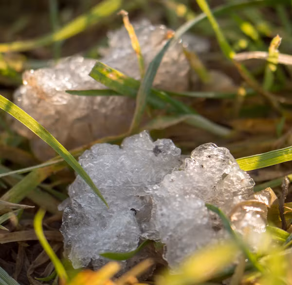 Một bài báo dài trên tạp chí huyền bí Fate tuyên bố thạch sao có nguồn gốc ngoài Trái Đất, gọi nó là "chất hữu cơ tế bào" tồn tại dưới dạng "các đám mây phân tử tiền sao" trôi nổi trong không gian.