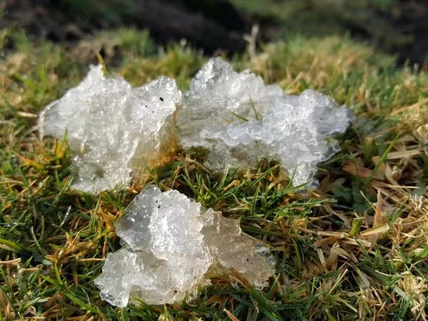 Thạch sao được mô tả là một loại gelatin mờ hoặc trắng xám có xu hướng bay hơi ngay sau khi "rơi". Nhiều người cho rằng đó là của ếch, cóc hoặc giun, phụ phẩm của vi khuẩn lam, hay hiện tượng siêu linh.